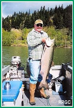 Chinook Salmon

