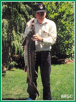 Columbia River
Sturgeon
