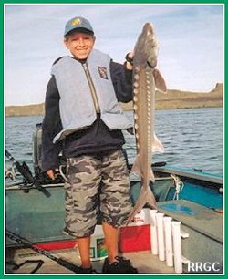 Small Sturgeon
Released
