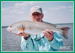 Redfish
