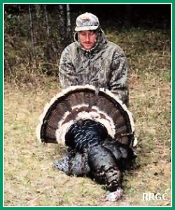 Merriam's Wild Turkey
