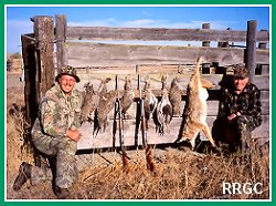 Sage Grouse
and Coyote
