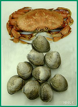 Dungeness Crabs
and Clams
